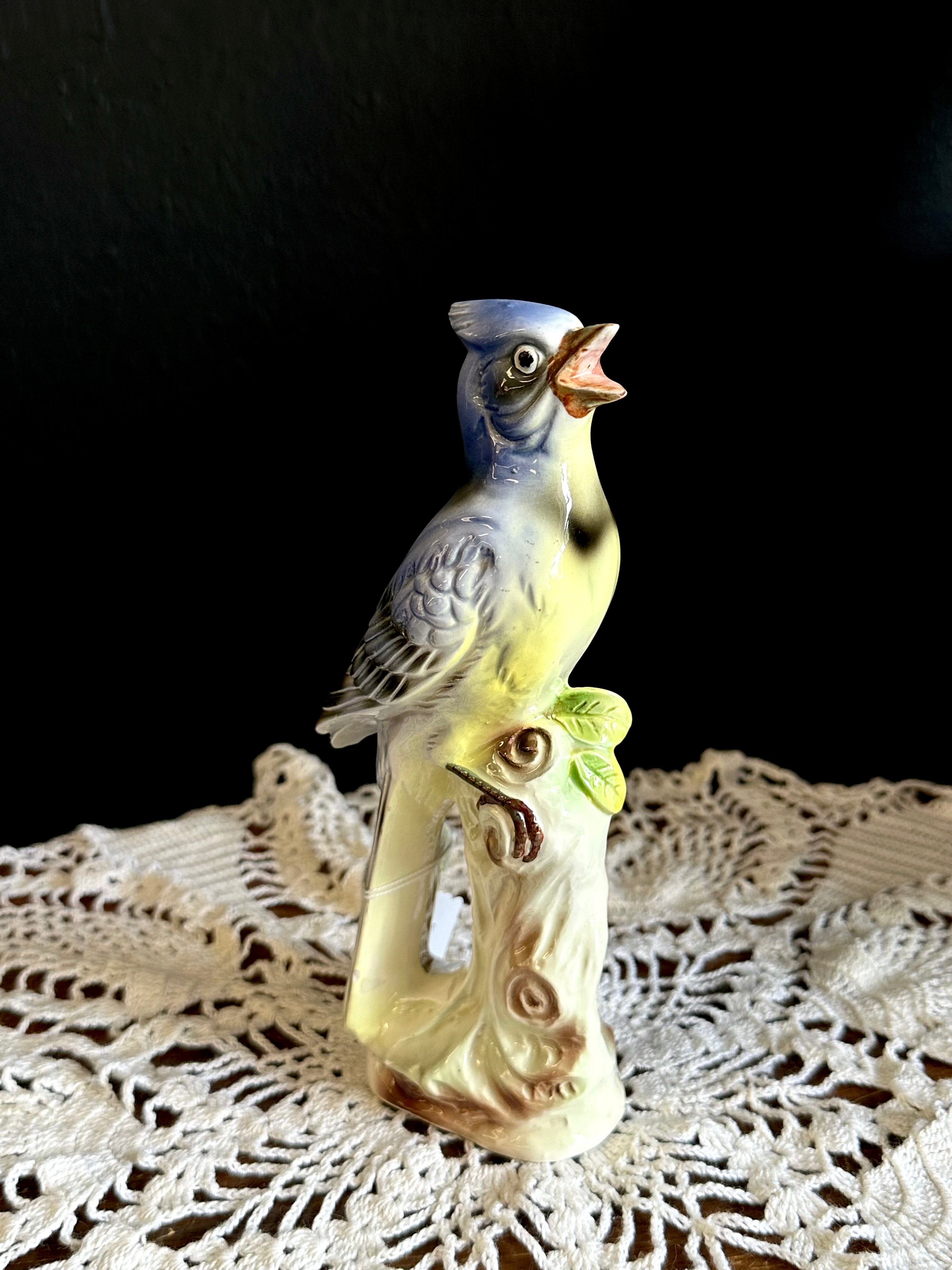Blue Jay