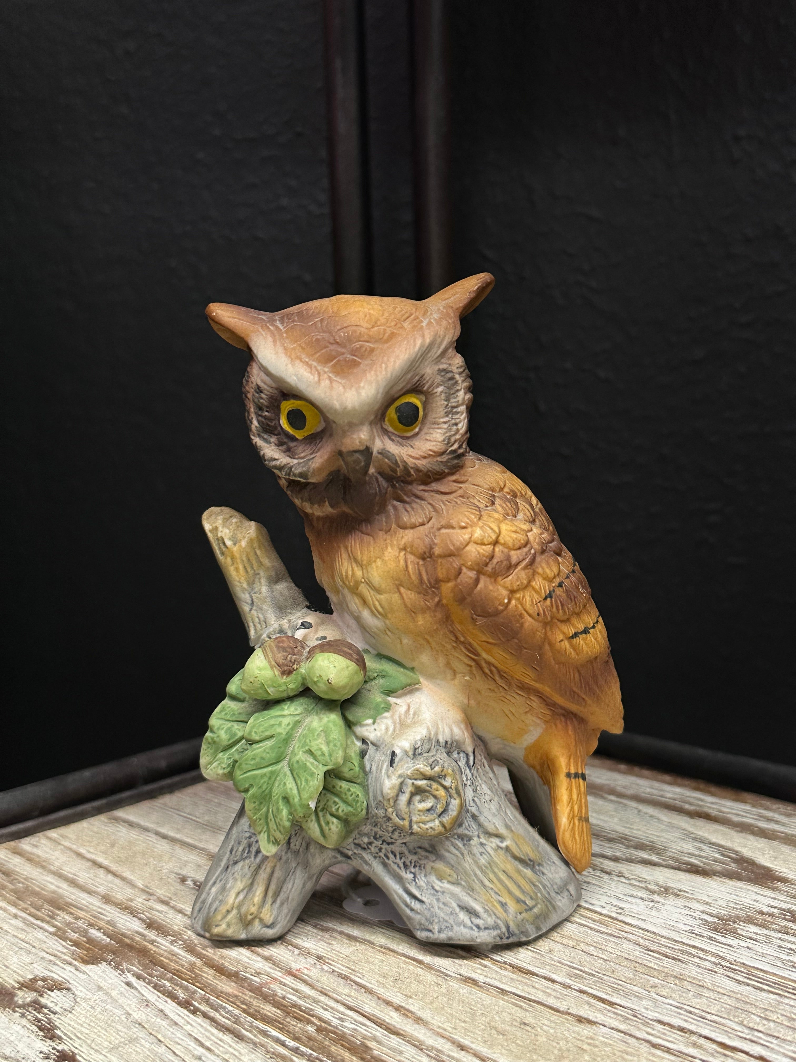 Owl