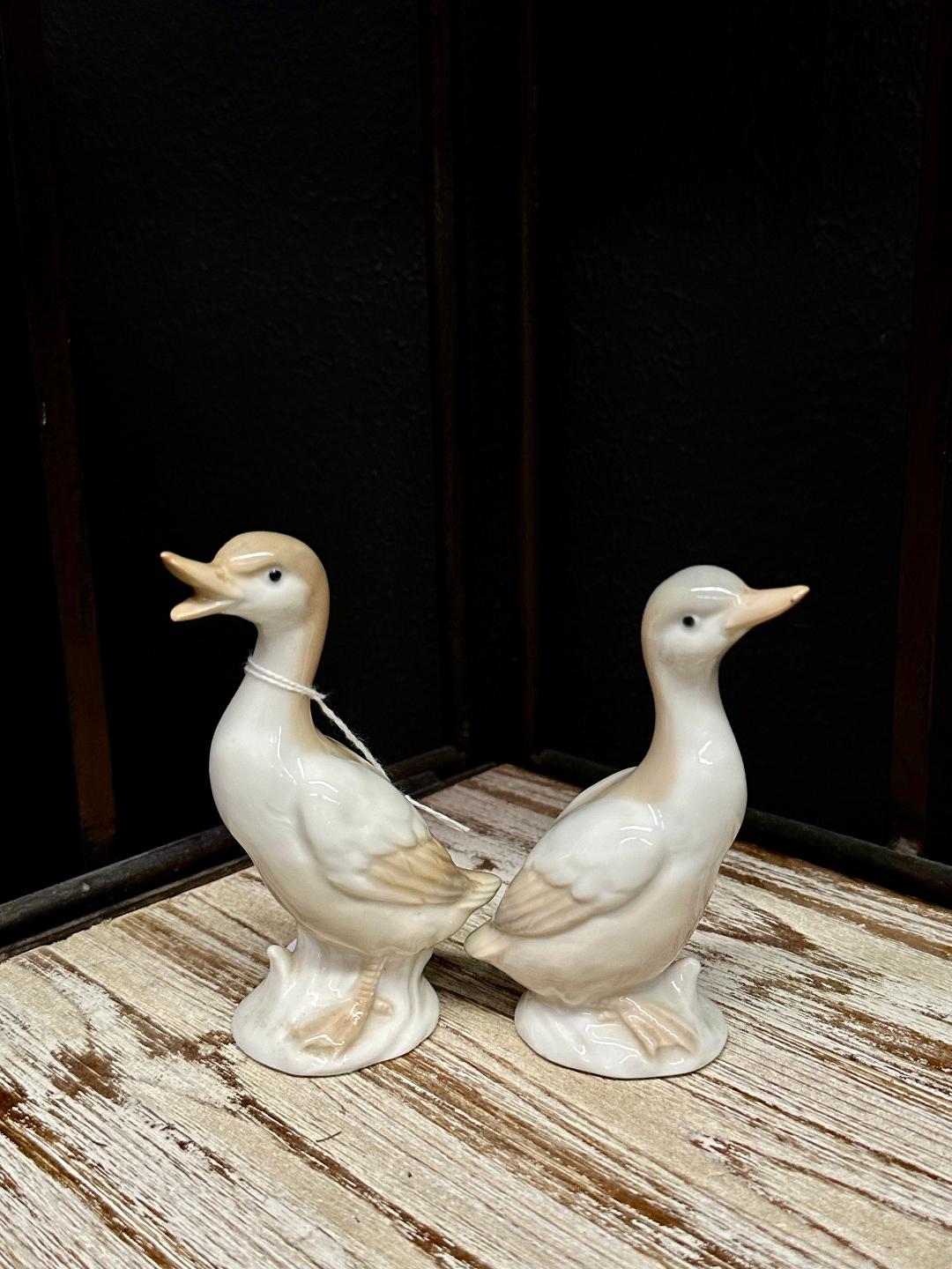 Porcelain Ducks